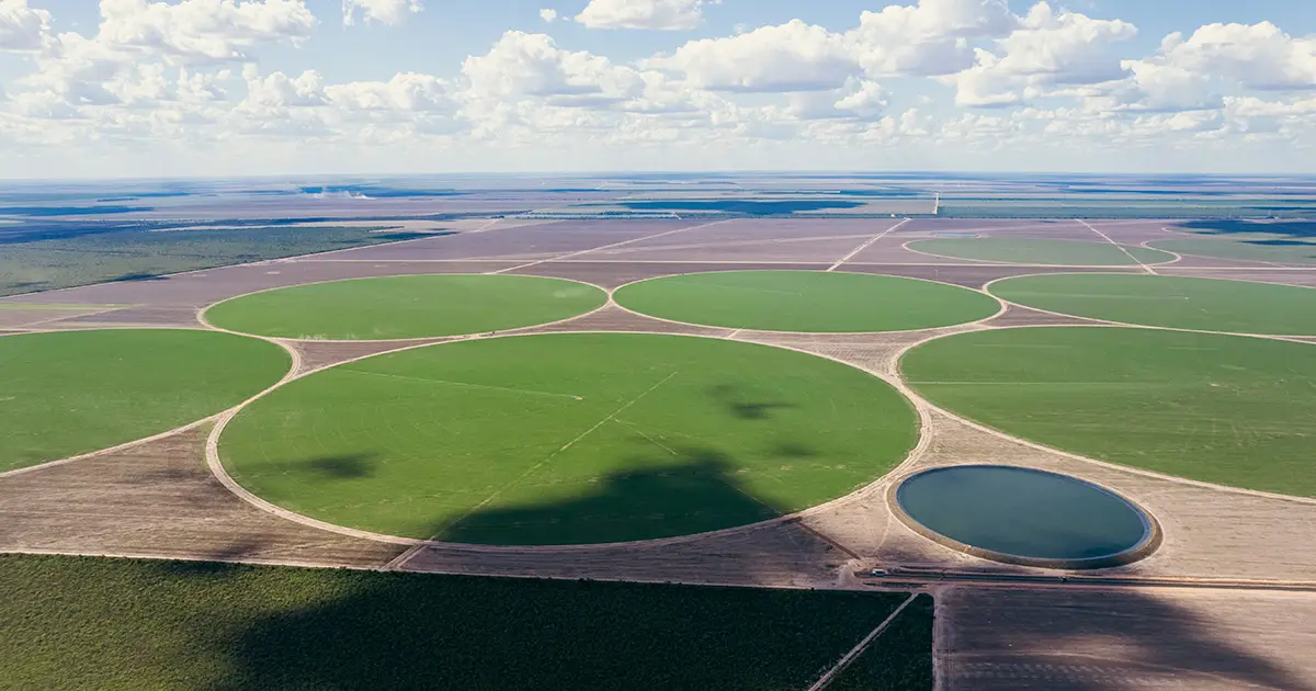 fzdb11-tane-capital-fazenda-tabuleir-destacada