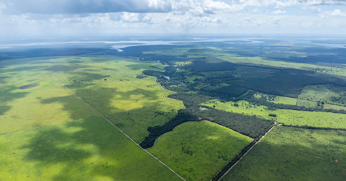 fzmg-tane-capital-fazenda-tronco-destacada