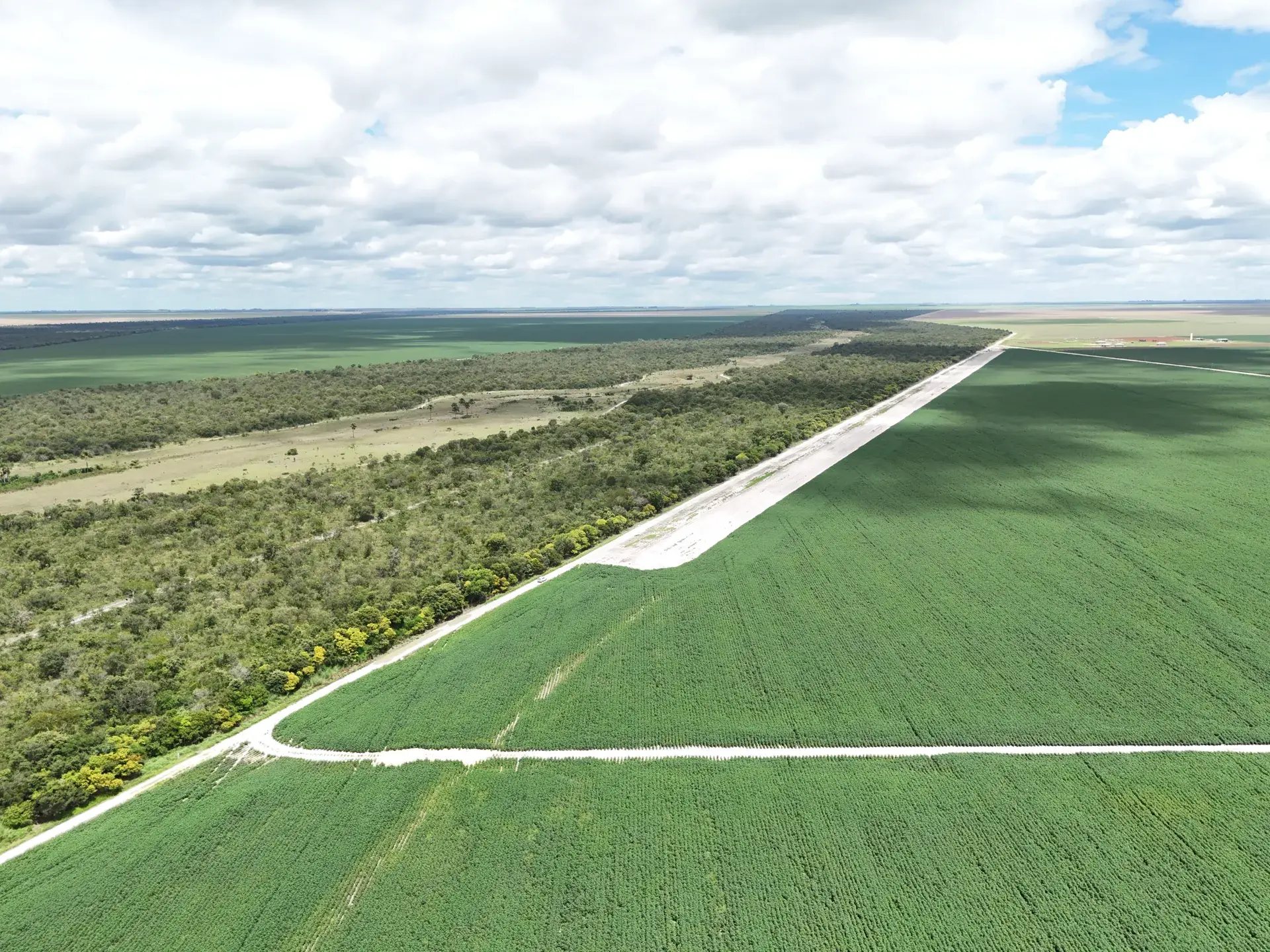 Vista aérea da lavoura e de estrada interna da Fazenda Montana (BA)
